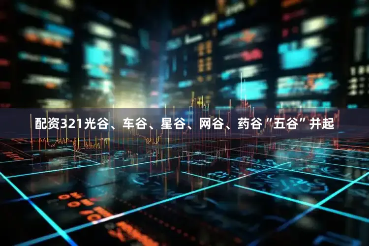 配资321光谷、车谷、星谷、网谷、药谷“五谷”并起