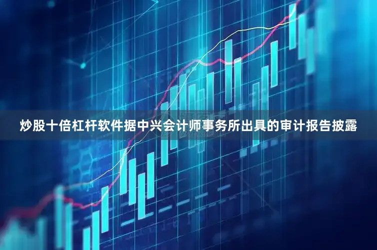 炒股十倍杠杆软件　　据中兴会计师事务所出具的审计报告披露