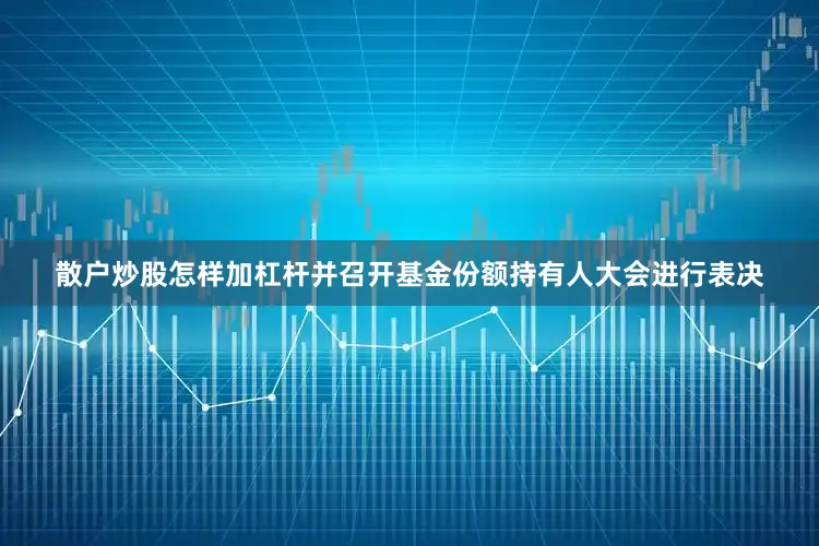 散户炒股怎样加杠杆并召开基金份额持有人大会进行表决