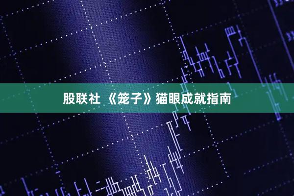 股联社 《笼子》猫眼成就指南